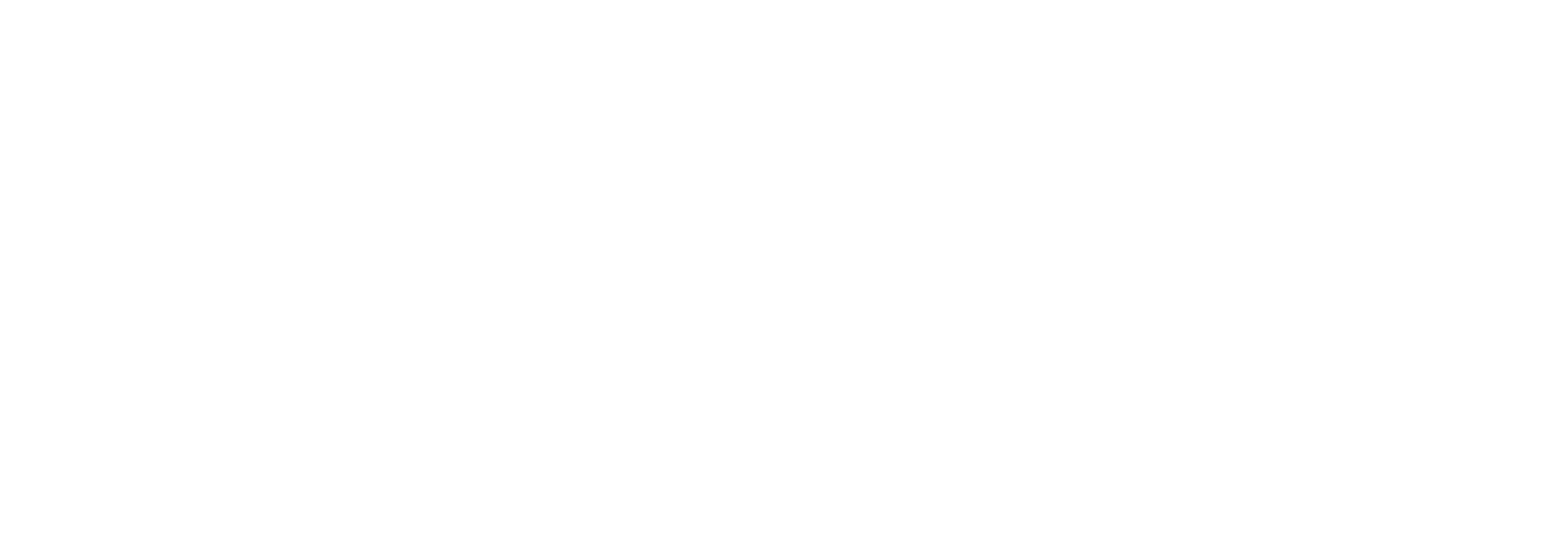 Logo Holland-capital-logo-wit
